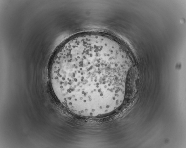 X0000099451267200805301504