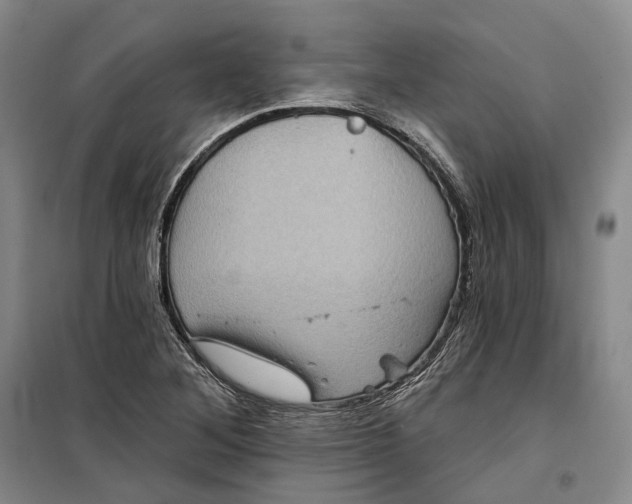 X0000099451268200805301504