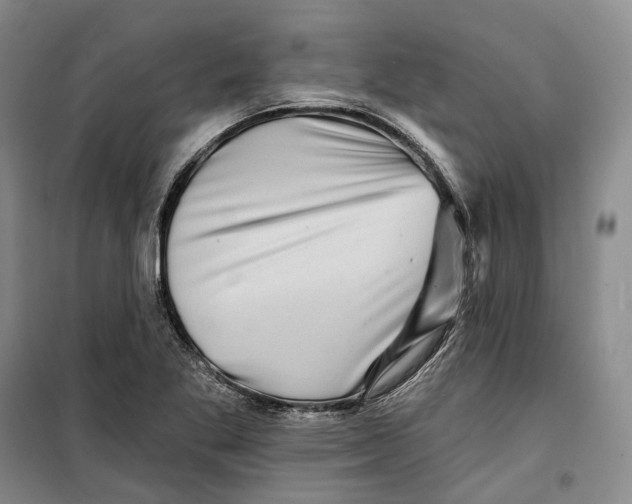 X0000099451269200805301504