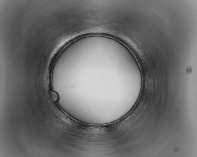 X0000099451270200805301504