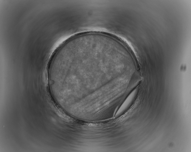 X0000099451271200805301504