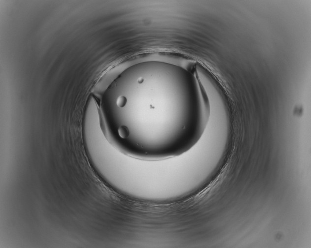 X0000099451273200805301504