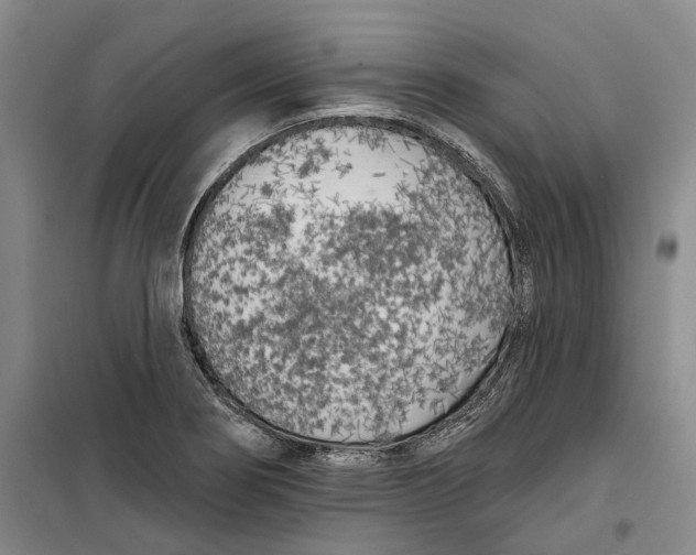 X0000099451274200805301504