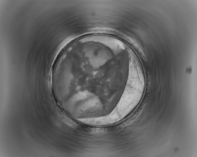 X0000099451275200805301504