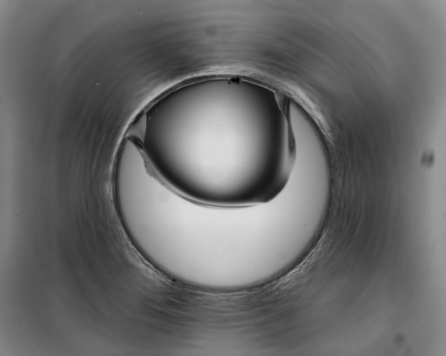 X0000099451276200805301504