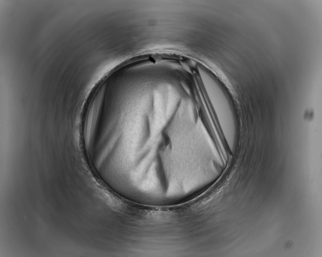 X0000099451277200805301504