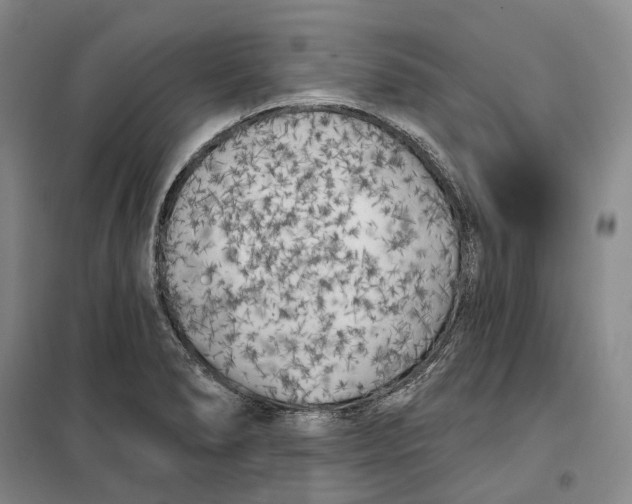 X0000099451278200805301504