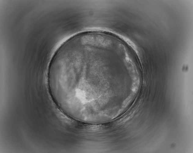 X0000099451279200805301504