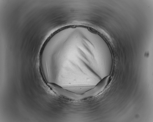 X0000099451280200805301504