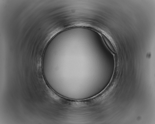 X0000099451281200805301504