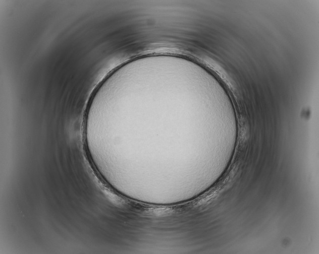 X0000099451282200805301504