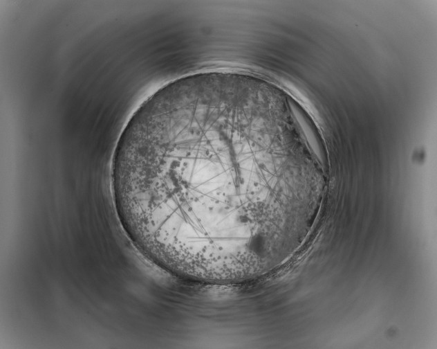 X0000099451283200805301504