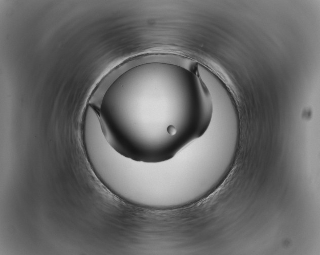 X0000099451284200805301504