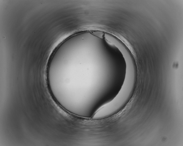 X0000099451285200805301504