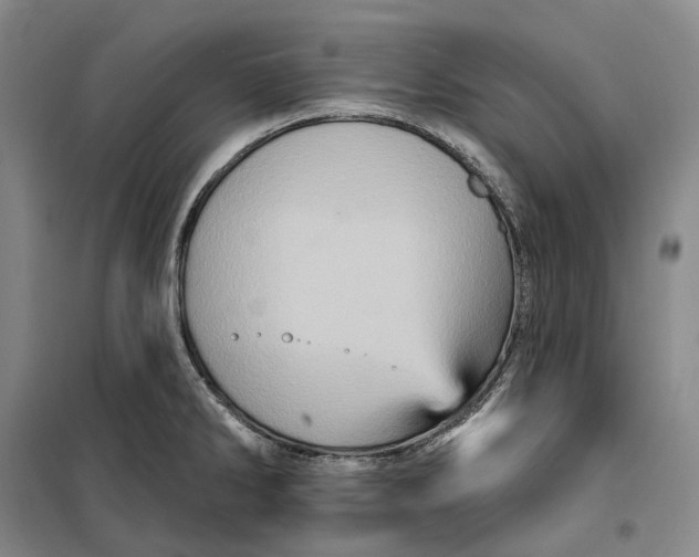 X0000099451286200805301504