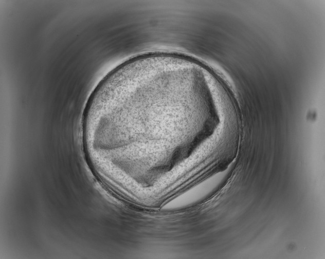 X0000099451287200805301504