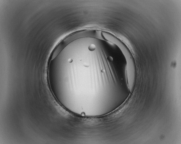 X0000099451288200805301504