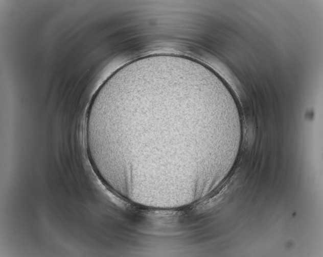 X0000099451290200805301504