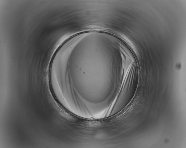 X0000099451291200805301504