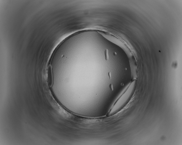 X0000099451292200805301504