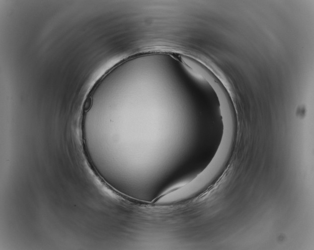 X0000099451293200805301504