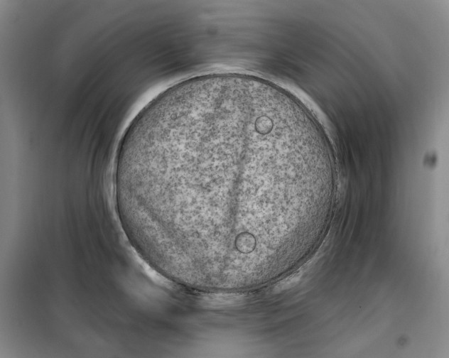 X0000099451294200805301504