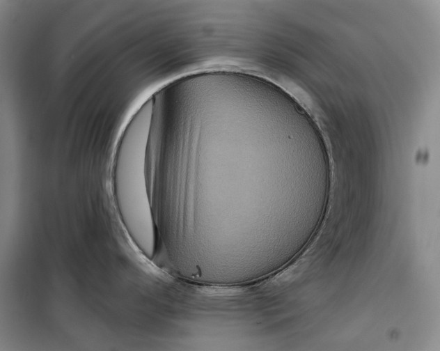 X0000099451296200805301504