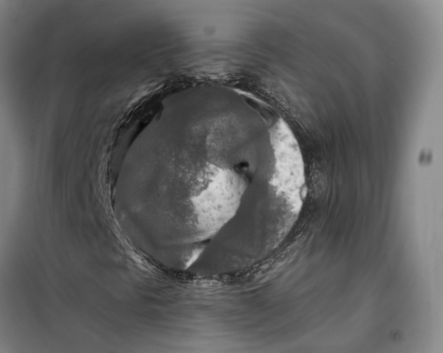 X0000099451297200805301503