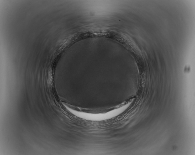 X0000099451298200805301503