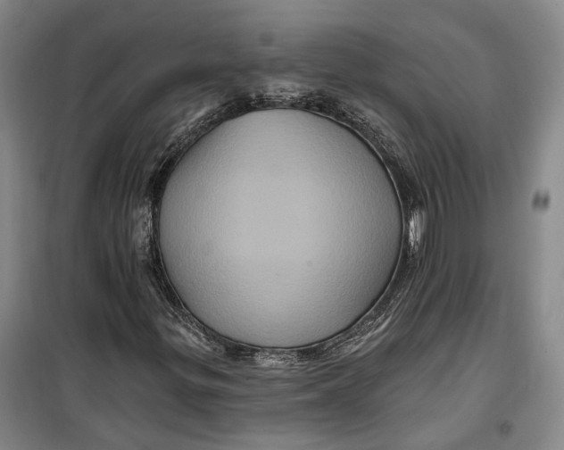 X0000099451299200805301503