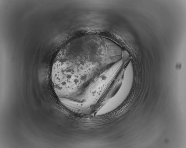 X0000099451300200805301503