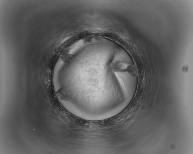 X0000099451301200805301503