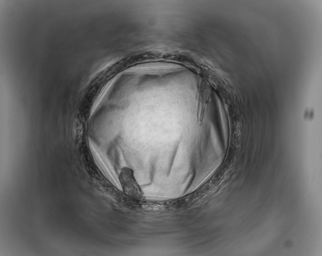 X0000099451302200805301503