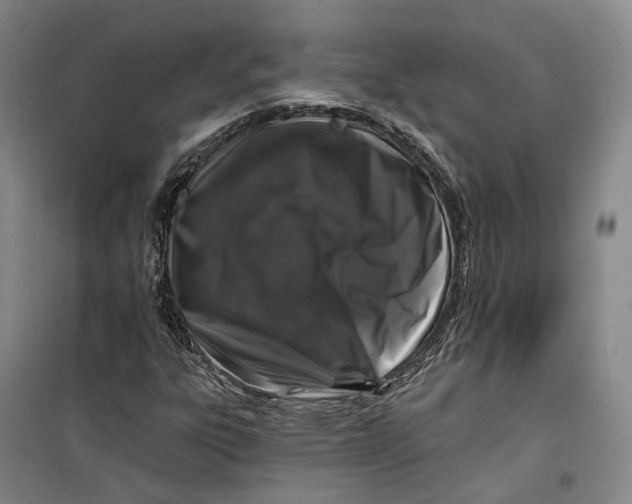 X0000099451303200805301503