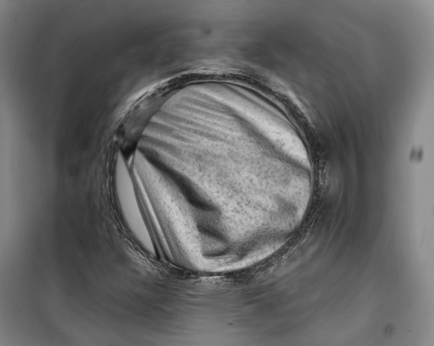 X0000099451304200805301503