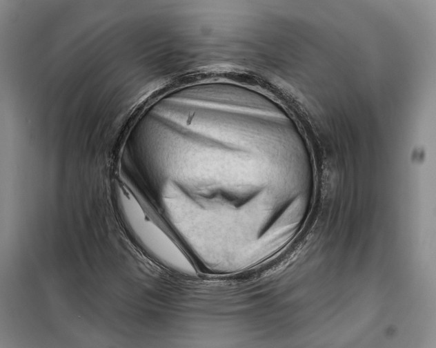 X0000099451305200805301503