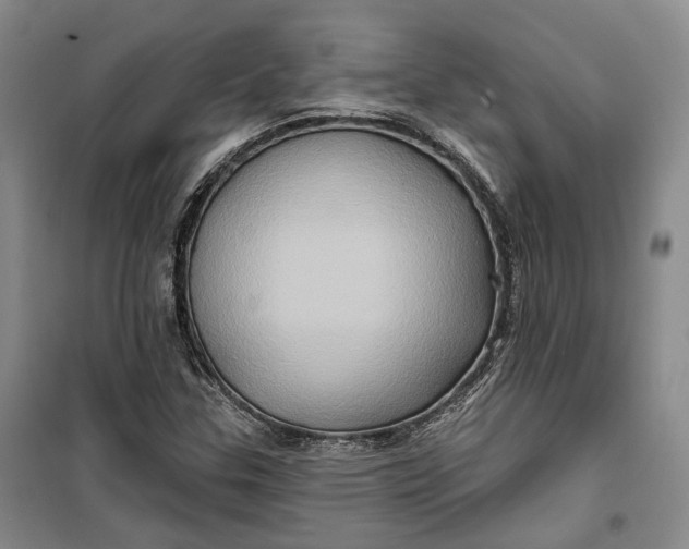 X0000099451307200805301503