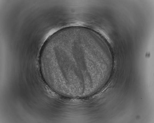 X0000099451308200805301503