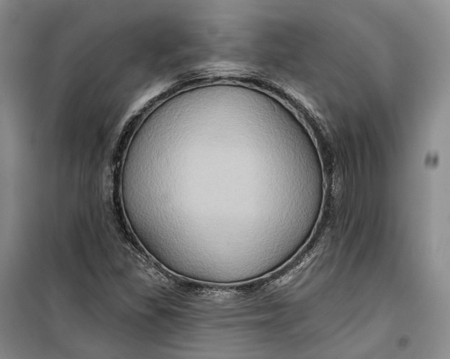 X0000099451309200805301503