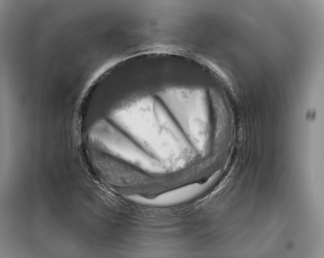 X0000099451310200805301503