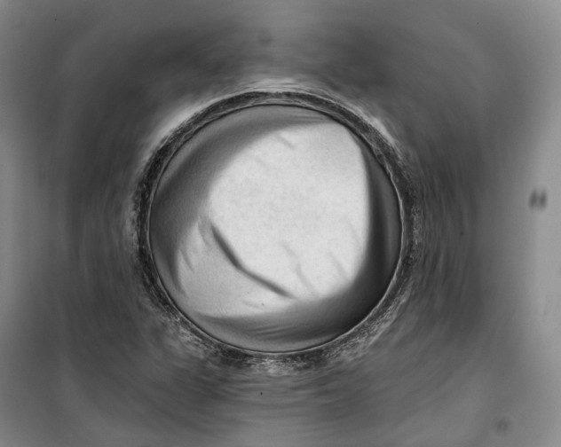 X0000099451311200805301503