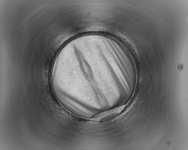 X0000099451313200805301504