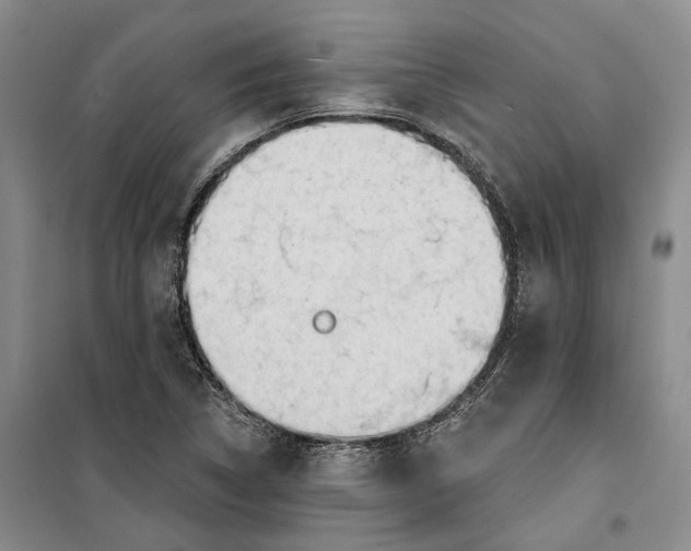 X0000099451314200805301504