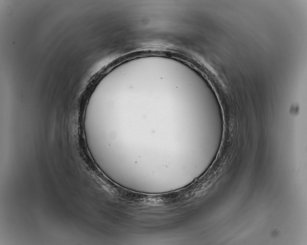 X0000099451315200805301504