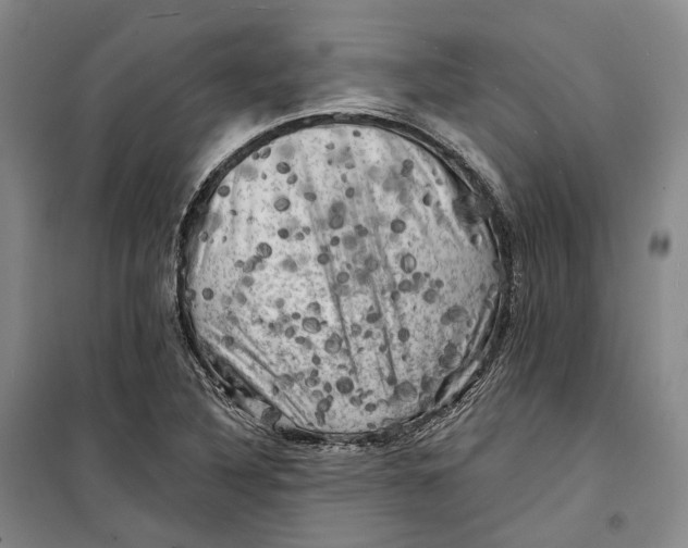 X0000099451316200805301504