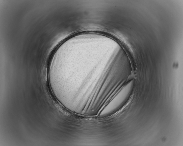 X0000099451317200805301504