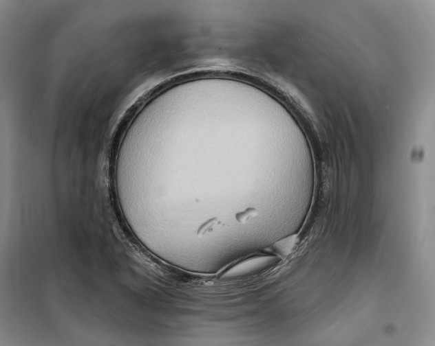 X0000099451318200805301504