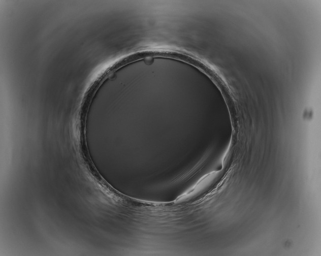 X0000099451319200805301504