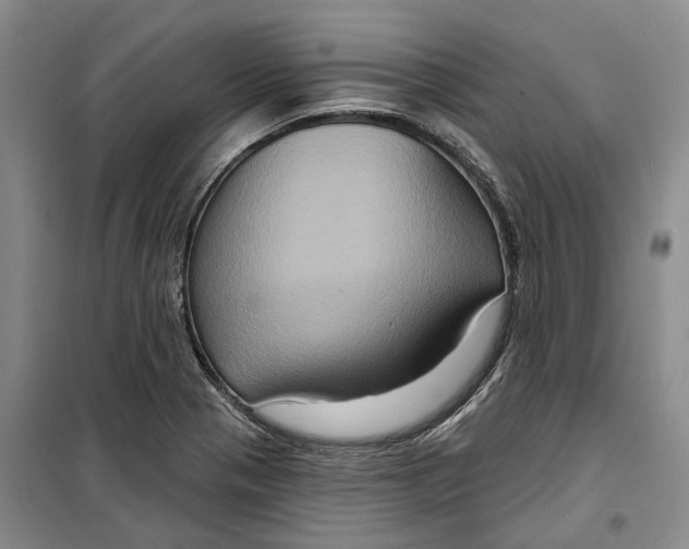 X0000099451321200805301504