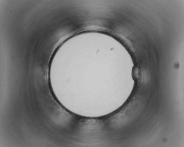 X0000099451322200805301504